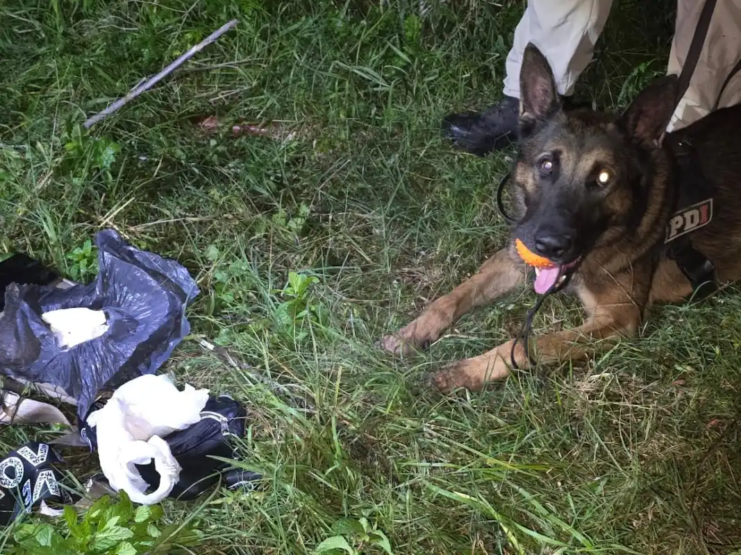 allanamientos firmat - 1