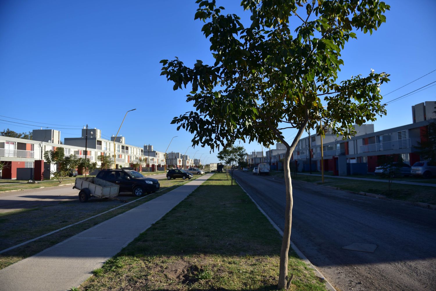 Vecinos venden pizzas para comprar plantas y árboles para el barrio