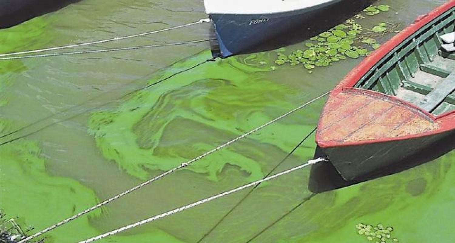 Río verde, río verde,  agua clara que se pierde