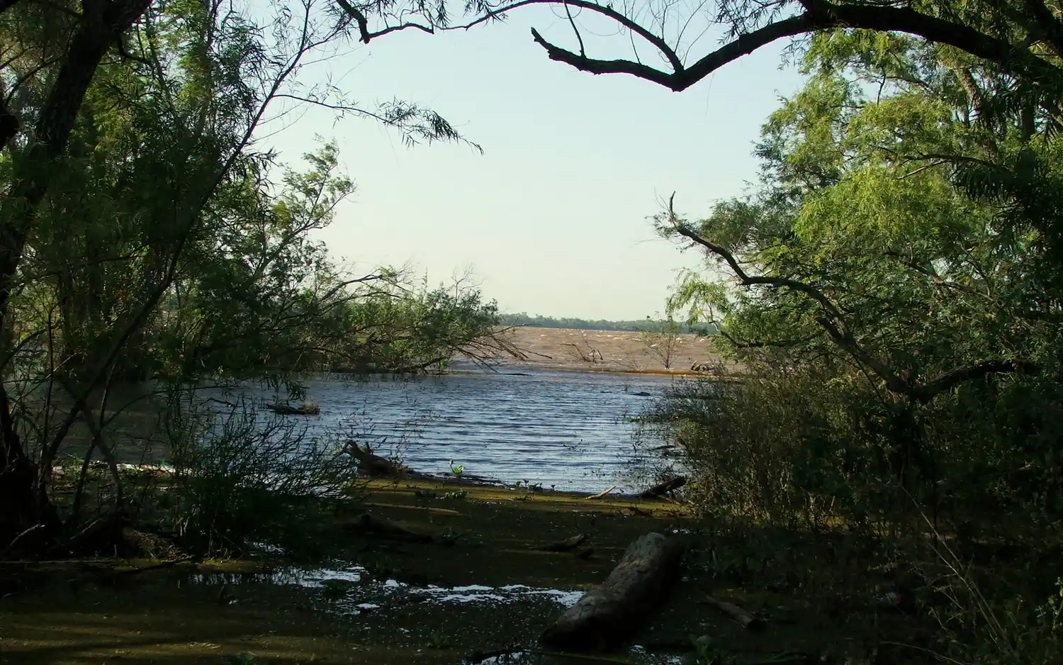 Ex combatientes protegerán las islas del municipio en el Paraná