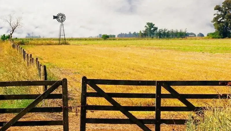 El mercado de compra y alquiler de campos recupera dinamismo