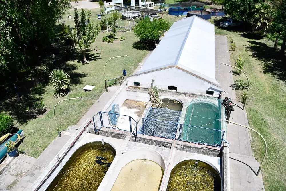 Estación de Piscicultura.  Funciona en el paraje Las Cascadas