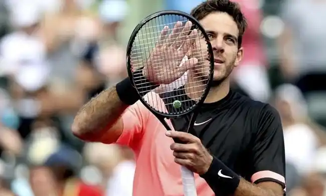 Del Potro quedó a tres partidos de ser el número 3 del mundo