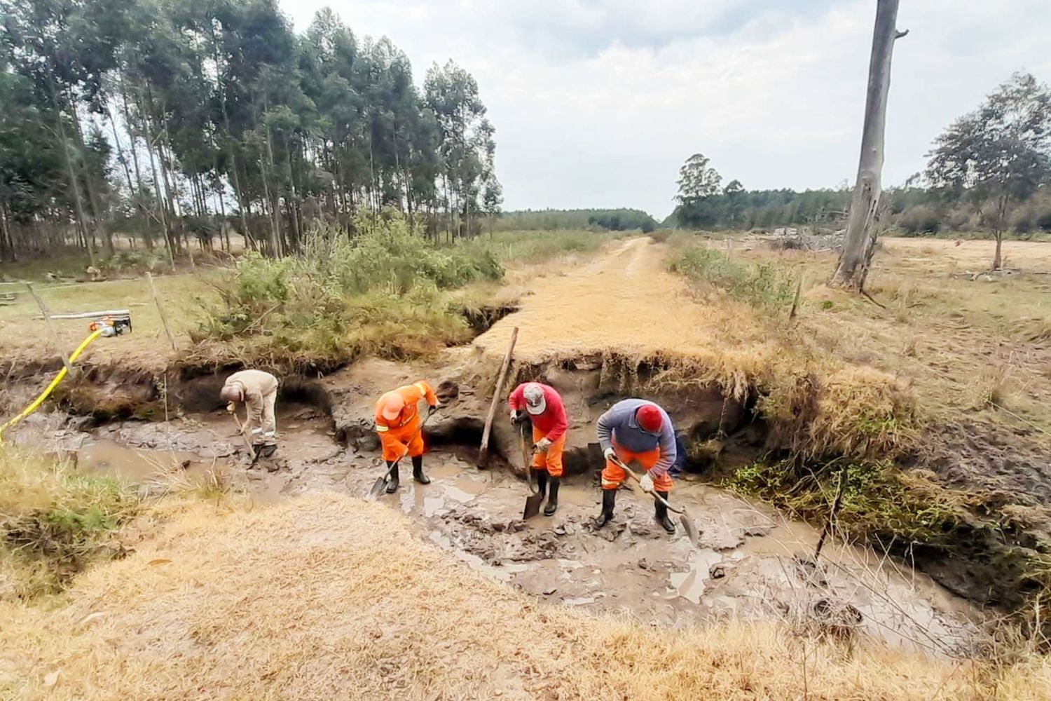 Vialidad trabaja en la recuperación de trazas rurales