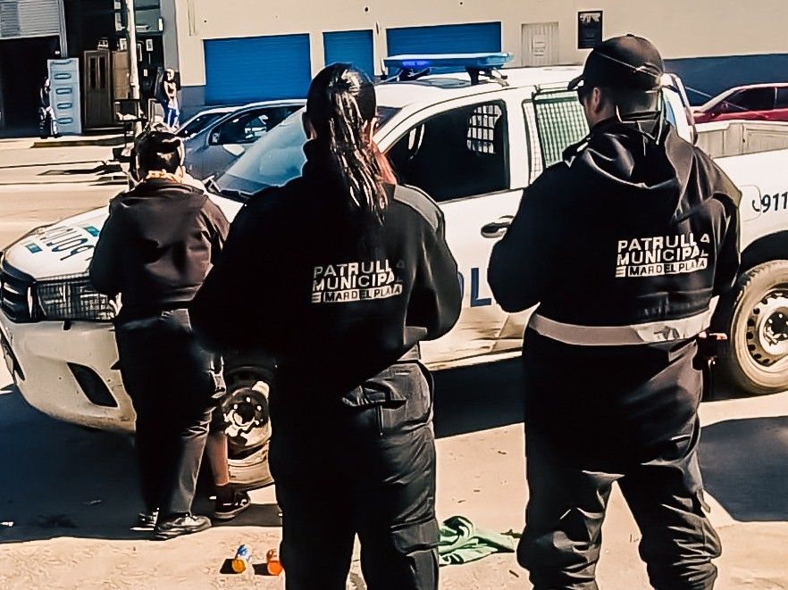La Patrulla Municipal tuvo que intervenir en Jacinto Peralta Ramos y Fortunato de la Plaza.