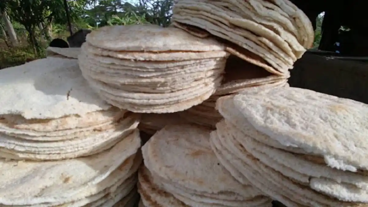 De Venezuela para el MUNDO: la UNESCO declara el CASABE «PATRIMONIO de la HUMANIDAD»