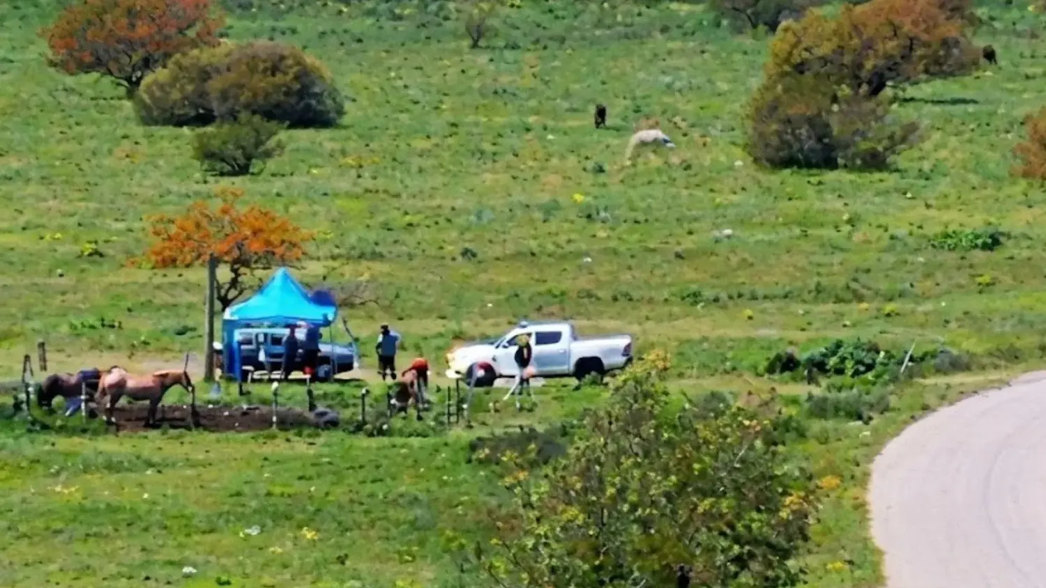 El traslado de hacienda desde las islas impone el control sanitario y la fiscalización del ganado, como se aprecia en el Bajo Cementerio.