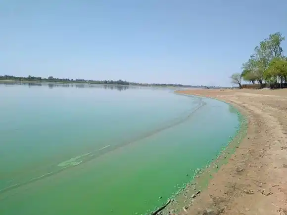 Se publican los resultados del Programa de Vigilancia de Playas