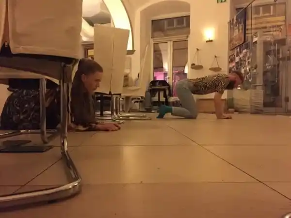 Teatro para mascotas - 1