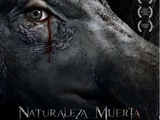 naturaleza muerta