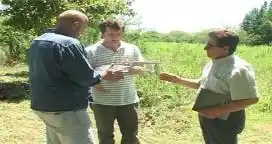 La reducción del bosque nativo en Entre Ríos ha sido de 6 mil hectáreas aproximadamente