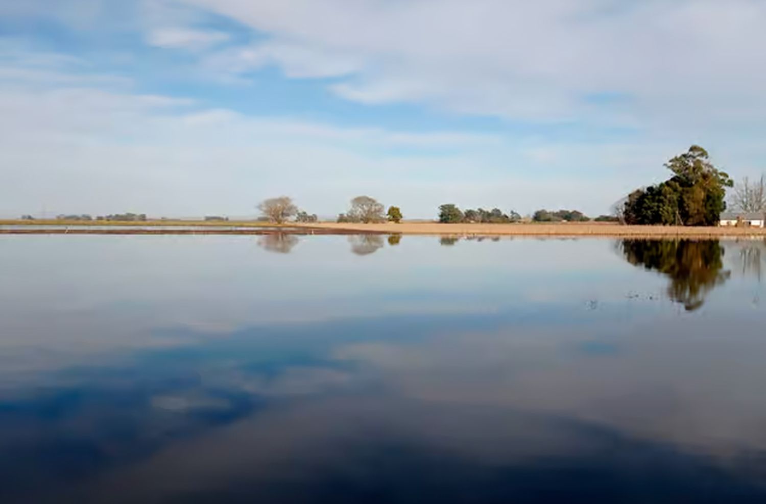 La lluvia complicó las rutas: se despistó un camión y quedo sumergido a la vera de la 226