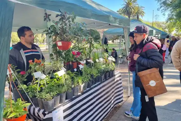Domingo de feria orgánica y sustentable