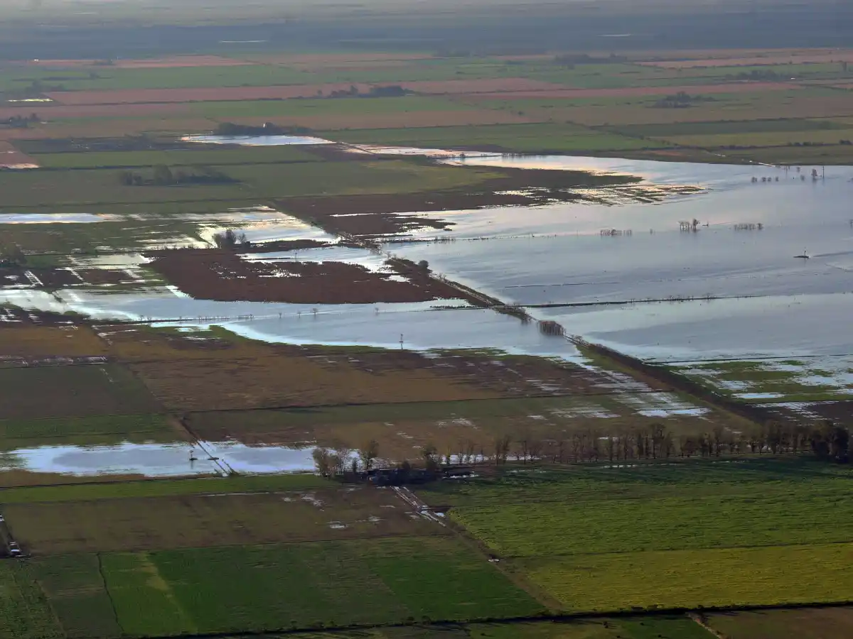 Algunos pronósticos aventuran  el regreso de "el niño" para  el ciclo agrícola 2017-2018