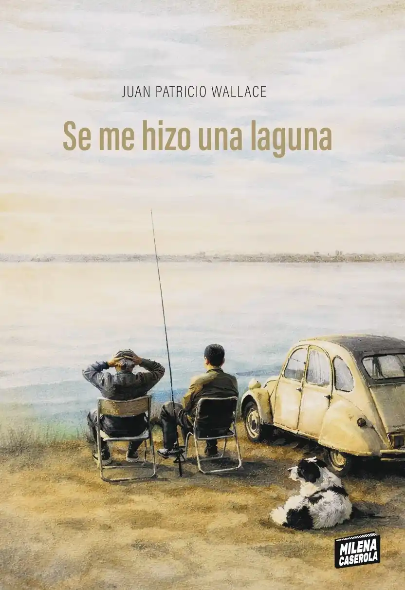 "Se me hizo una laguna": Juan Patricio Wallace presenta el 10 de abril una obra que condensa diez años de premiada trayectoria literaria