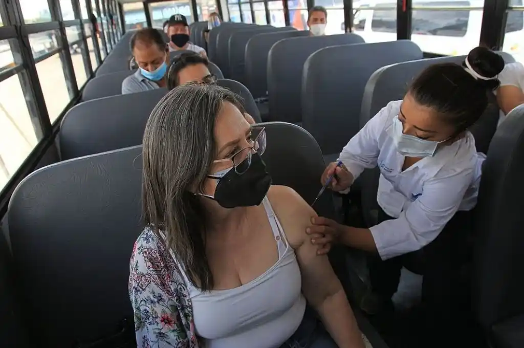 Descubren que la inmunidad al coronavirus podría durar años