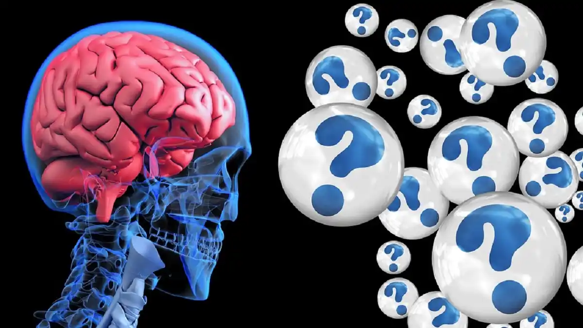 EL CEREBRO SELECCIONA LOS RECUERDOS ¿Por qué se activa esta función y qué papel cumple el sueño?