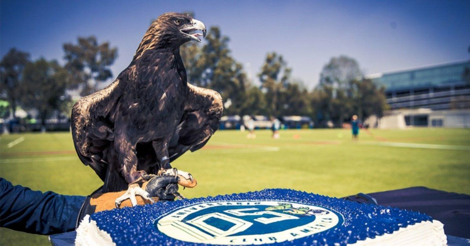 Conoce a la espectacular mascota del América 