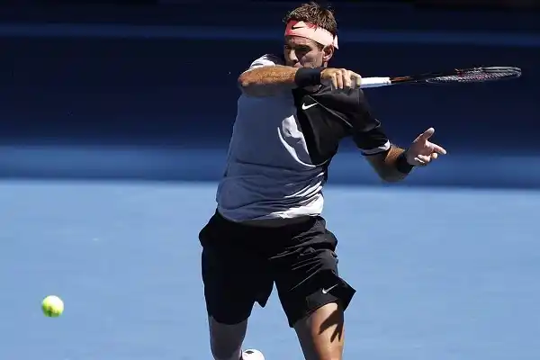 Del Potro pasó una prueba dura y avanza en el Australian Open