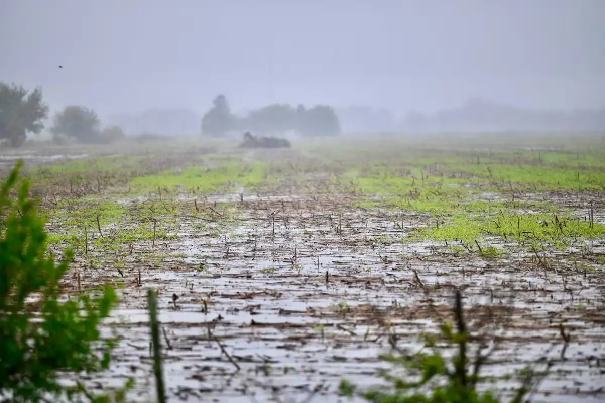 Defensa Civil de Entre Ríos coordina acciones en la provincia ante el posible impacto climático de El Niño