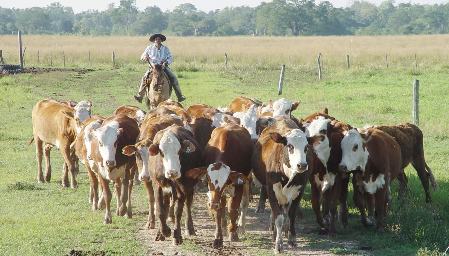 Los trabajadores rurales temporarios podrán  formalizarse sin perder la ayuda social