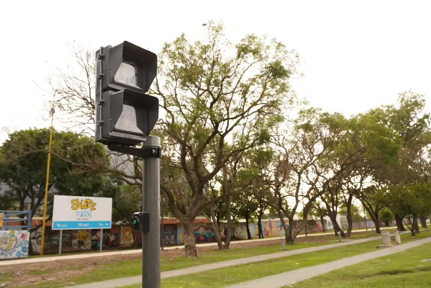 Semáforo peatonal Cervantes