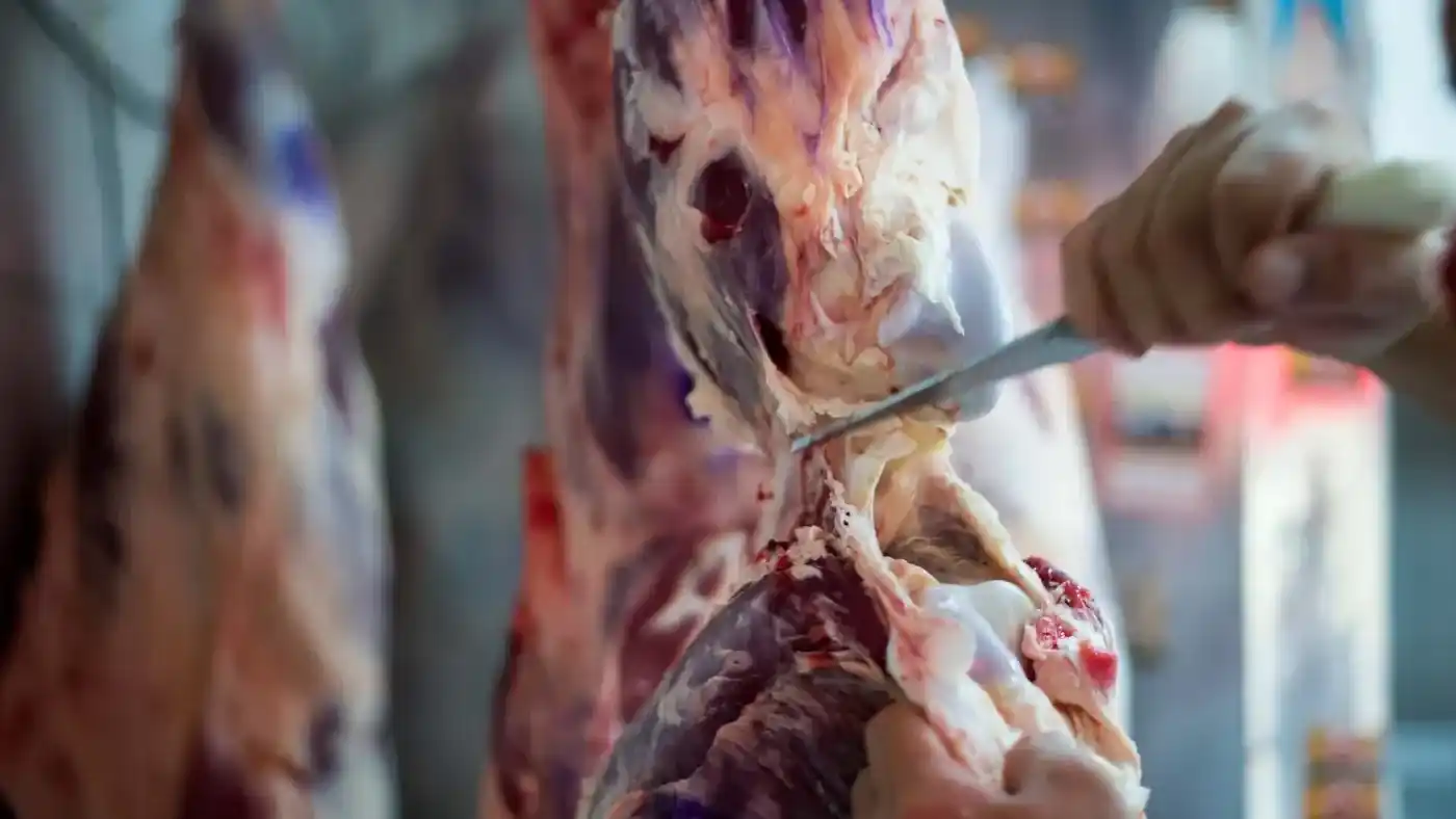 Frigorífico San Francisco incorpora personal: buscan vendedores y bajadores