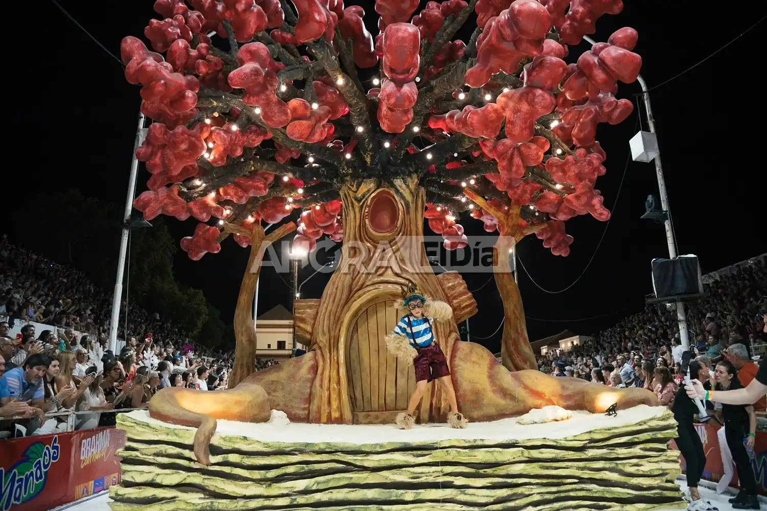 Las 11 fotos más emocionantes del título Nº11 de Papelitos