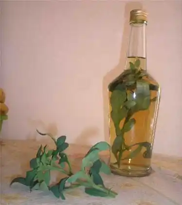 Se realizará un encuentro por la “Fiesta de la caña con ruda”