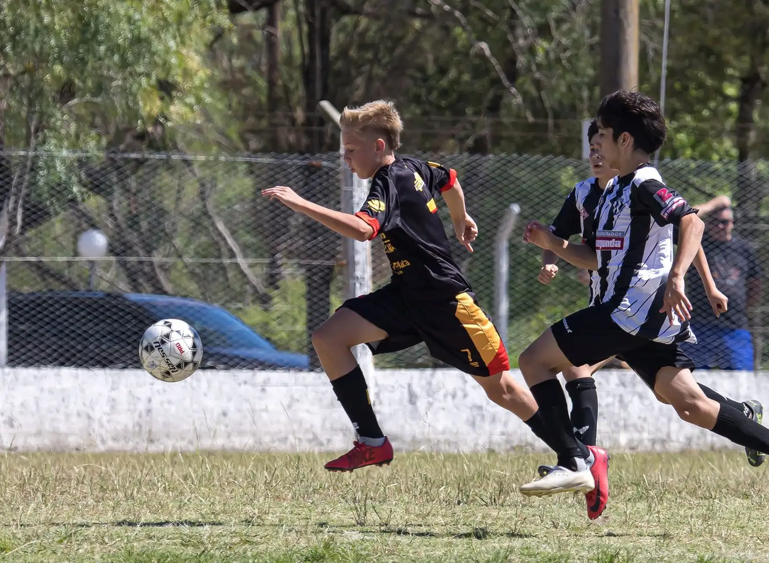 San Lorenzo probará jugadores juveniles en Libertador San Martín