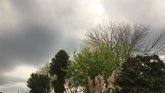 Alerta Naranja por tormentas en Concordia y gran parte de la provincia