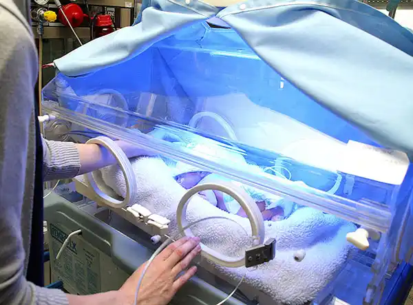 Neonatología atendió a 40 bebes prematuros