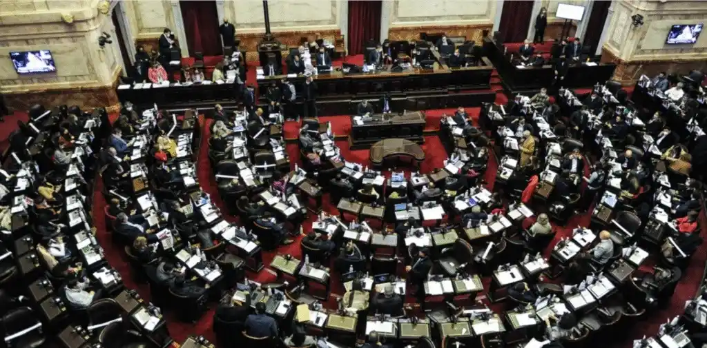 El nuevo Régimen Penal Juvenil ya tuvo media sanción en Diputados.
