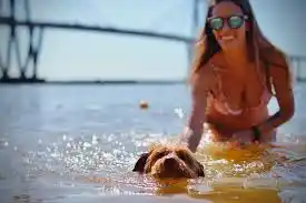 Mascotas en la costanera de Corrientes