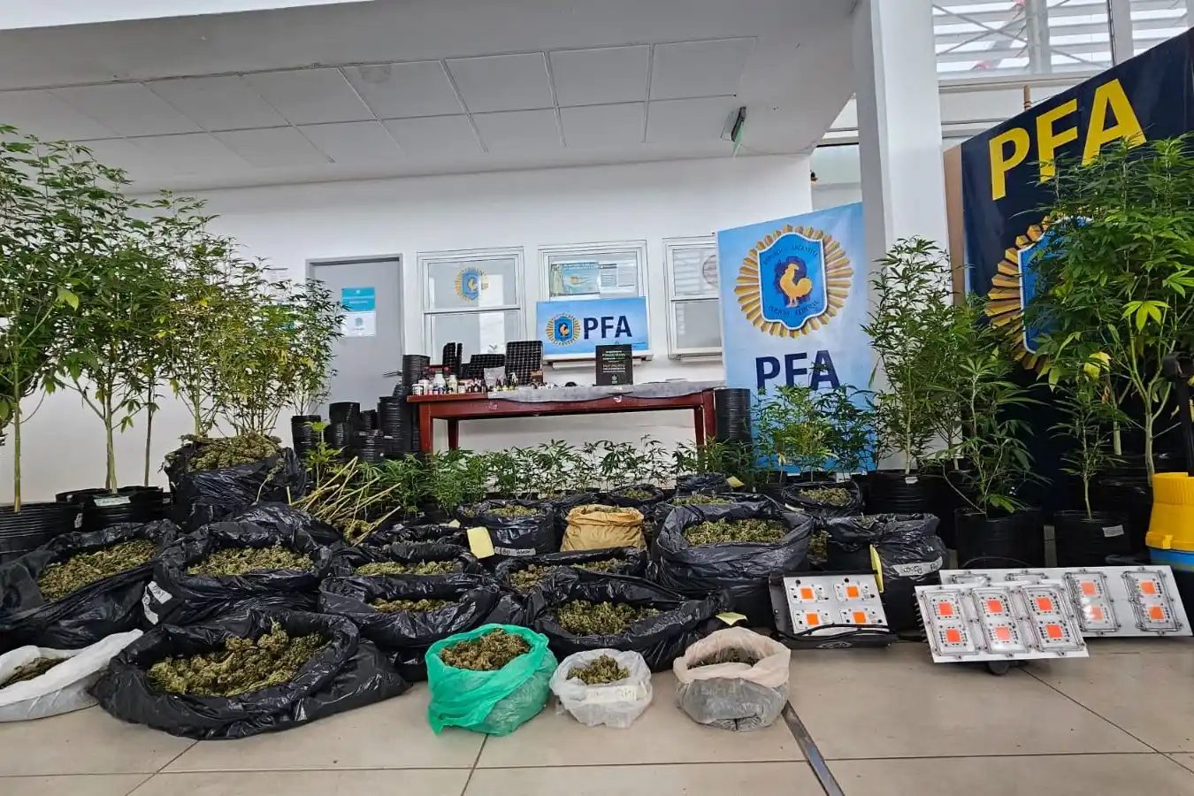 Todos los elementos secuestrados tienen un valor total estimado de 128 millones de pesos.