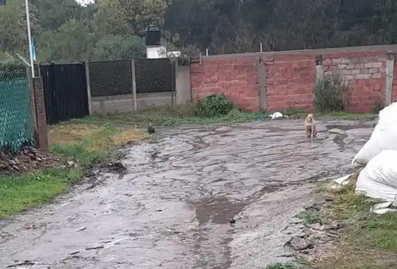 En Jardín de Peralta Ramos están cansados de la inseguridad: “No se puede salir en ningún horario porque te roban”