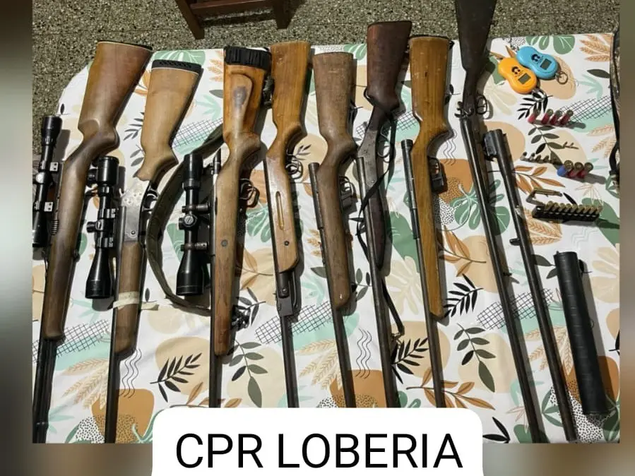 Secuestraron un arsenal y cortes de carne vacuna