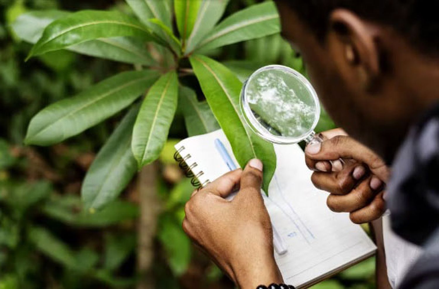 ¿Qué estudian quienes tienen como objetivo salvar a la Tierra?