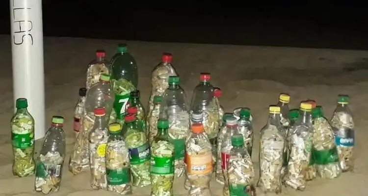 Conciencia ecológica: recolectaron 18 mil colillas de cigarrillos, potenciales contaminantes del agua