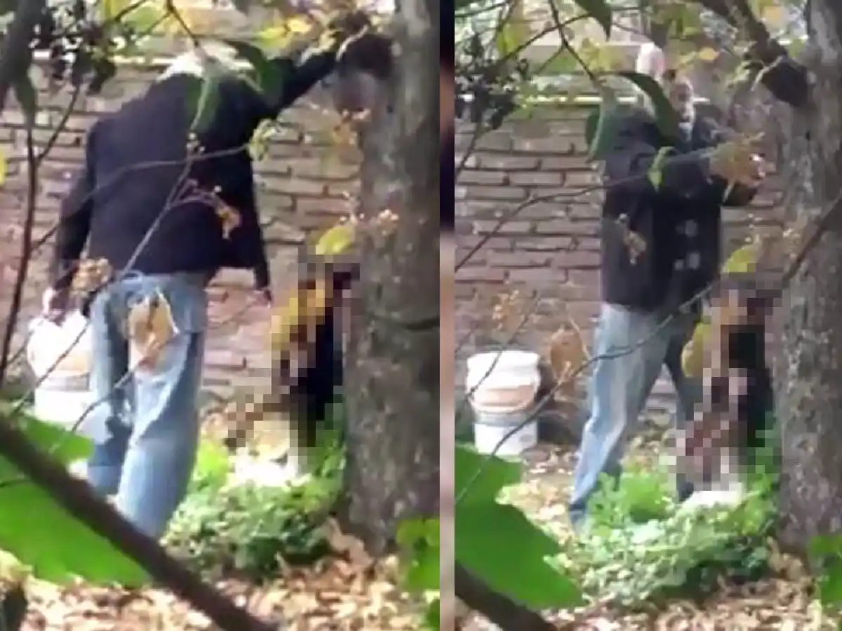 Escándalo en Santa Fe por un hombre que ahorcó a un perro