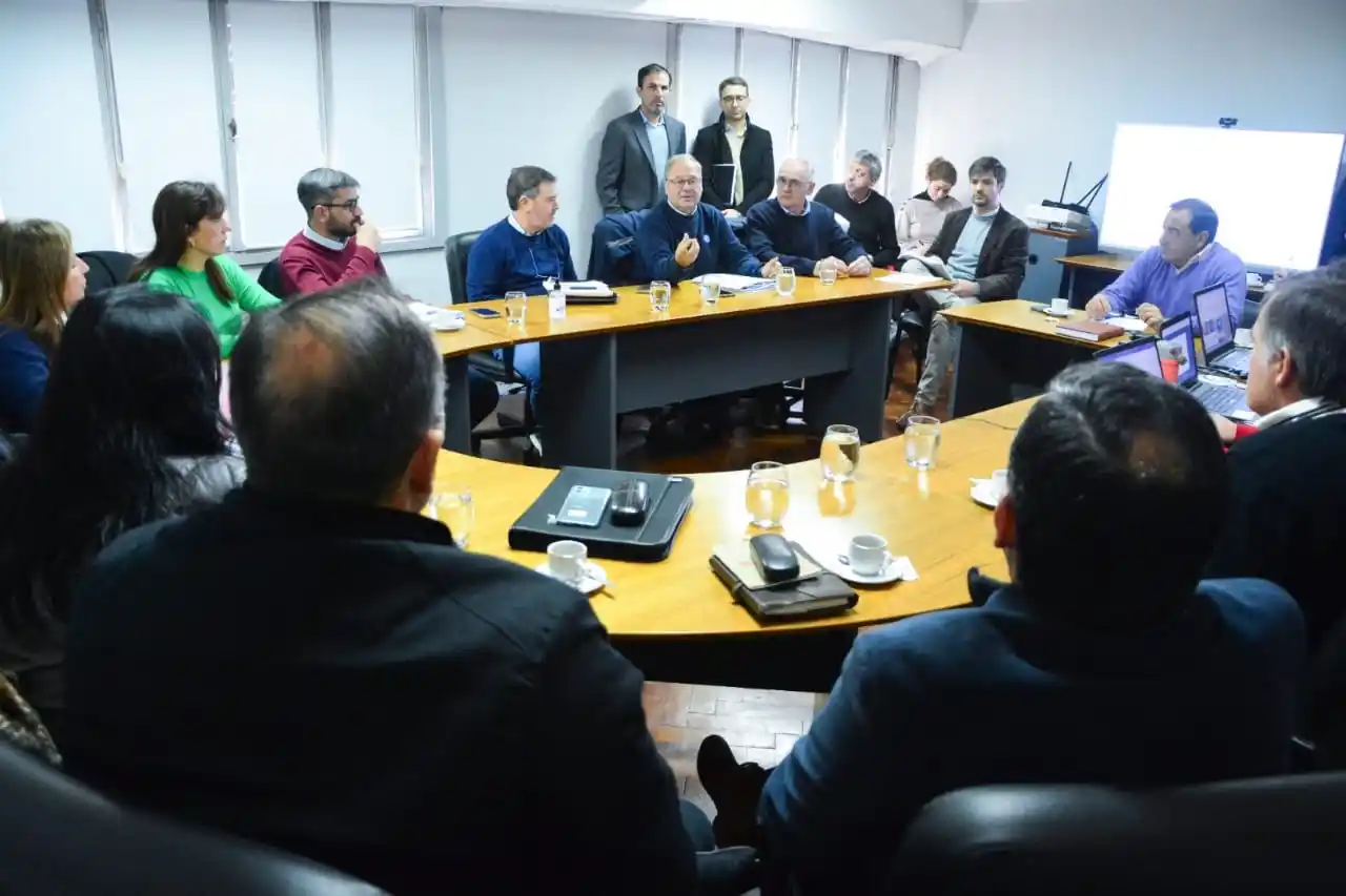 Senadores consensuaron dictamen para declarar la emergencia vial