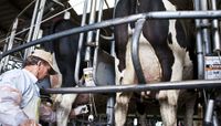 “Estamos tratando de llevar el litro de leche por debajo de los 40 pesos”