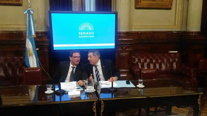 Por el faltazo de Solanas, De Ángeli y Guastavino se quedaron sin quorum