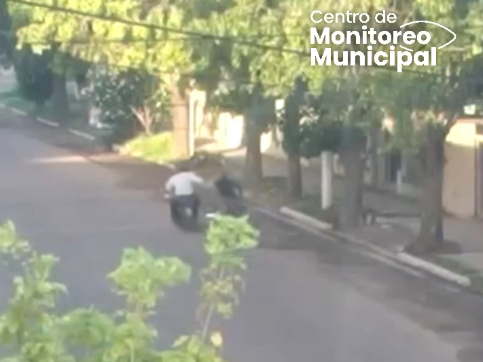Motochorro Venado