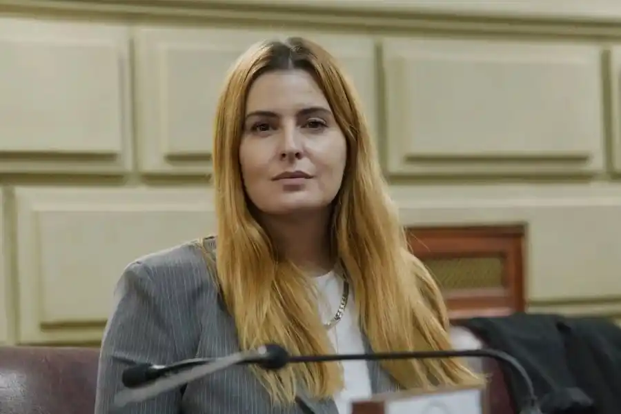 Una legisladora provincial propuso la creación una Agencia de Investigación de Lavado de Activos