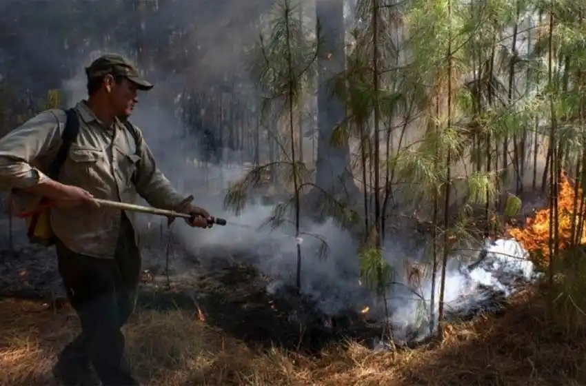 Advierten que el 70% de los incendios en Corrientes está controlado
