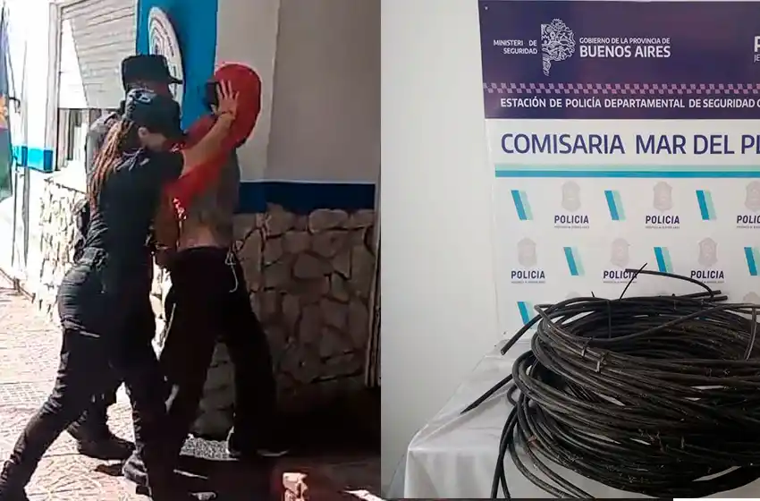 Ingresó a una cooperativa para robar: posee numerosos procesamientos