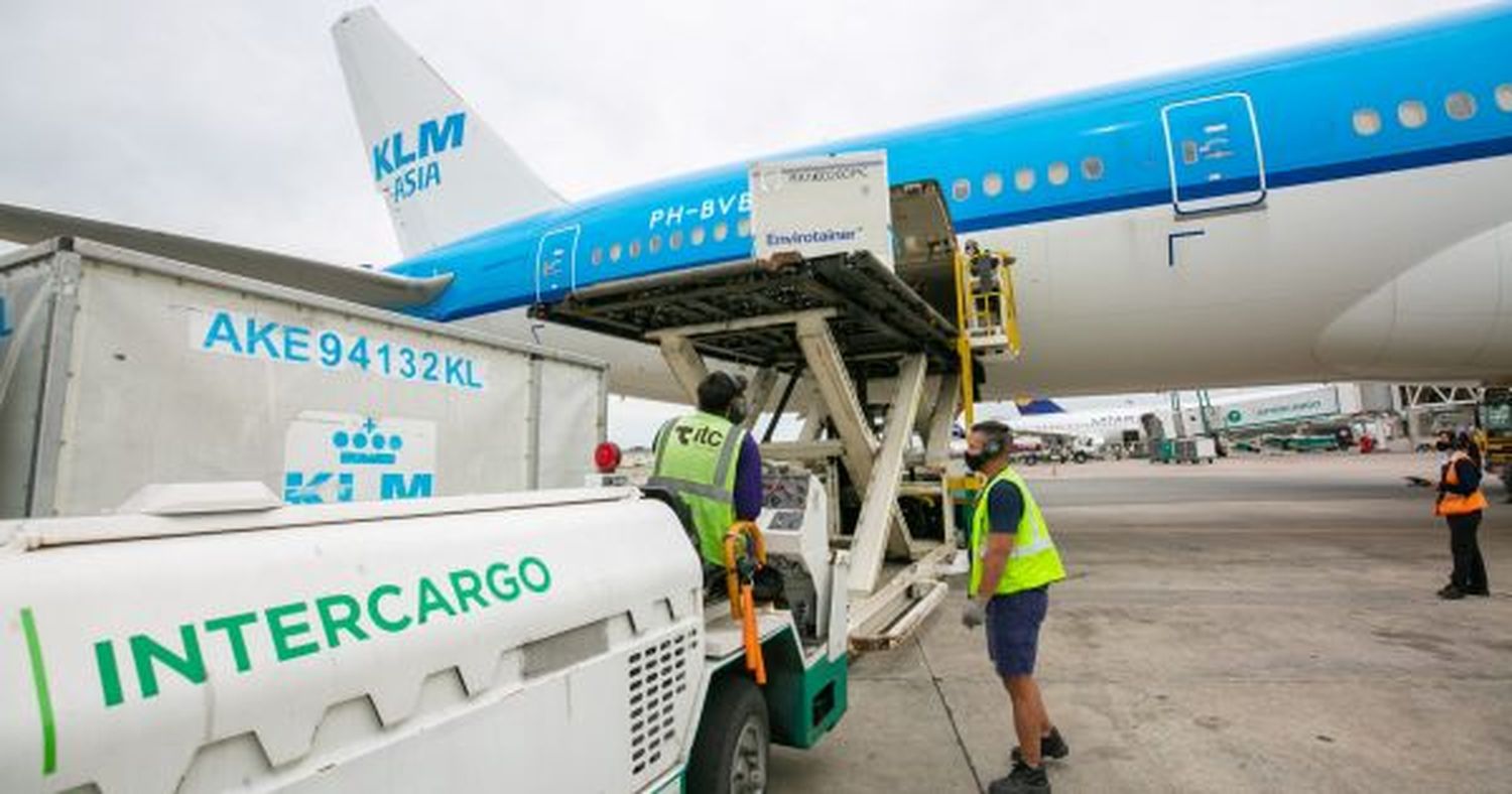 Otro paro sorpresivo de gremios aeronáuticos afecta a Ezeiza y Aeroparque: Miles de pasajeros damnificados