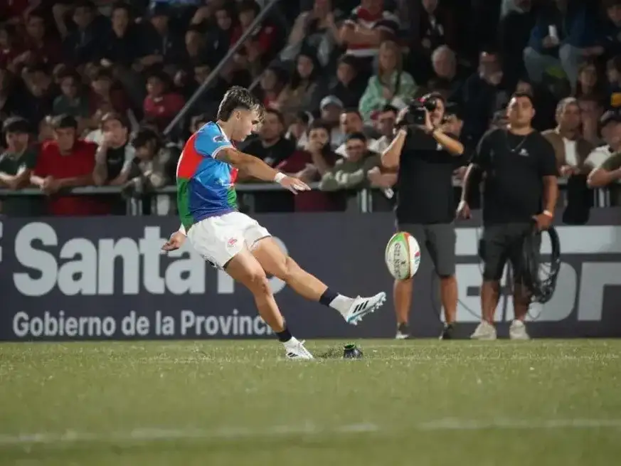 Capibaras XV