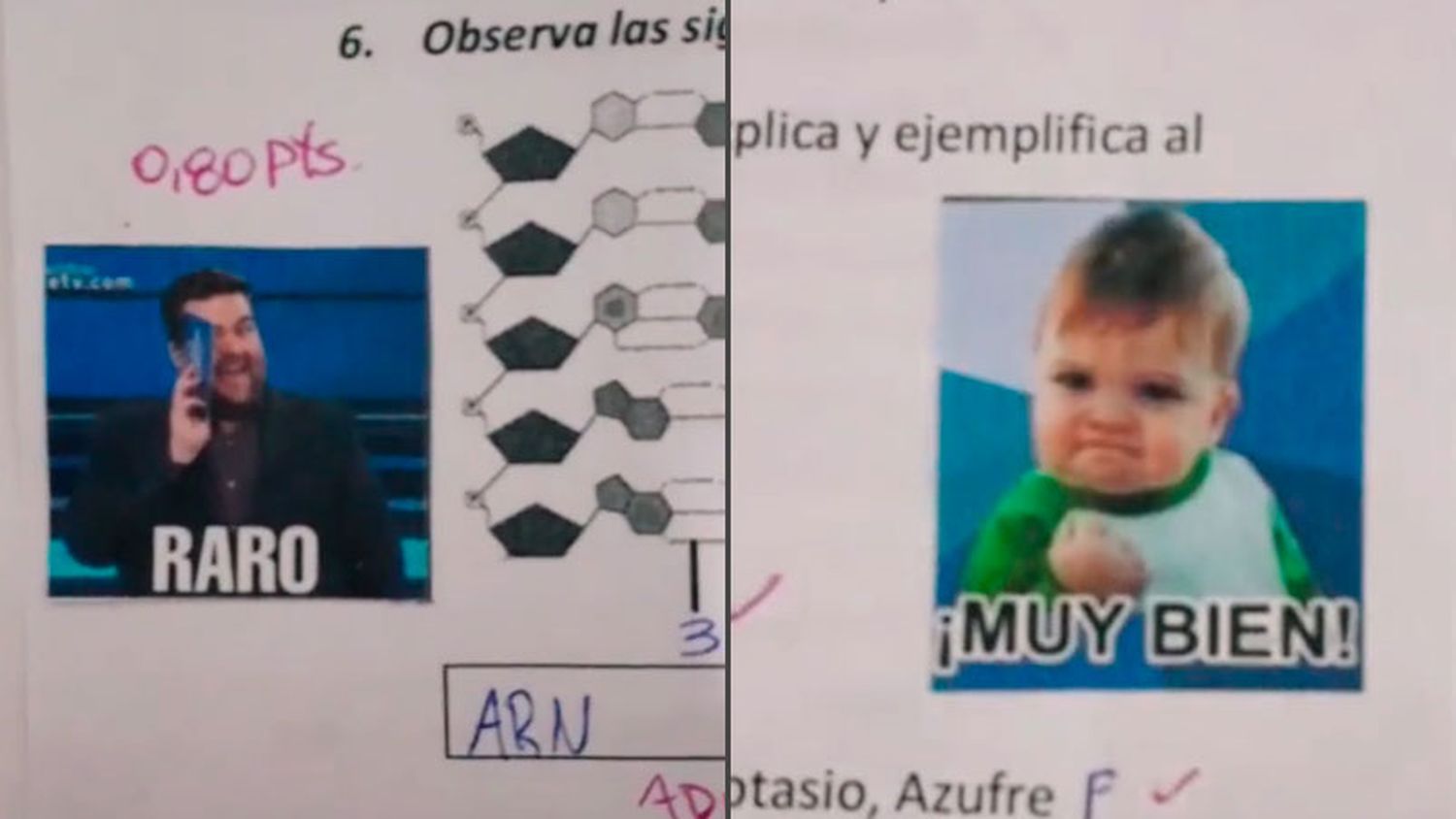 Profe corrige con memes